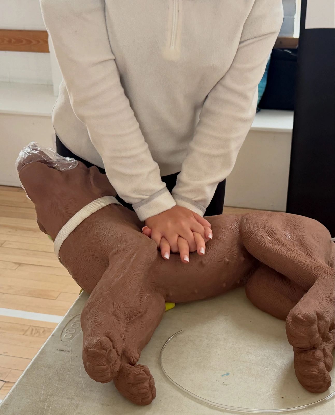 Carly practising canine CPR during first-aid training