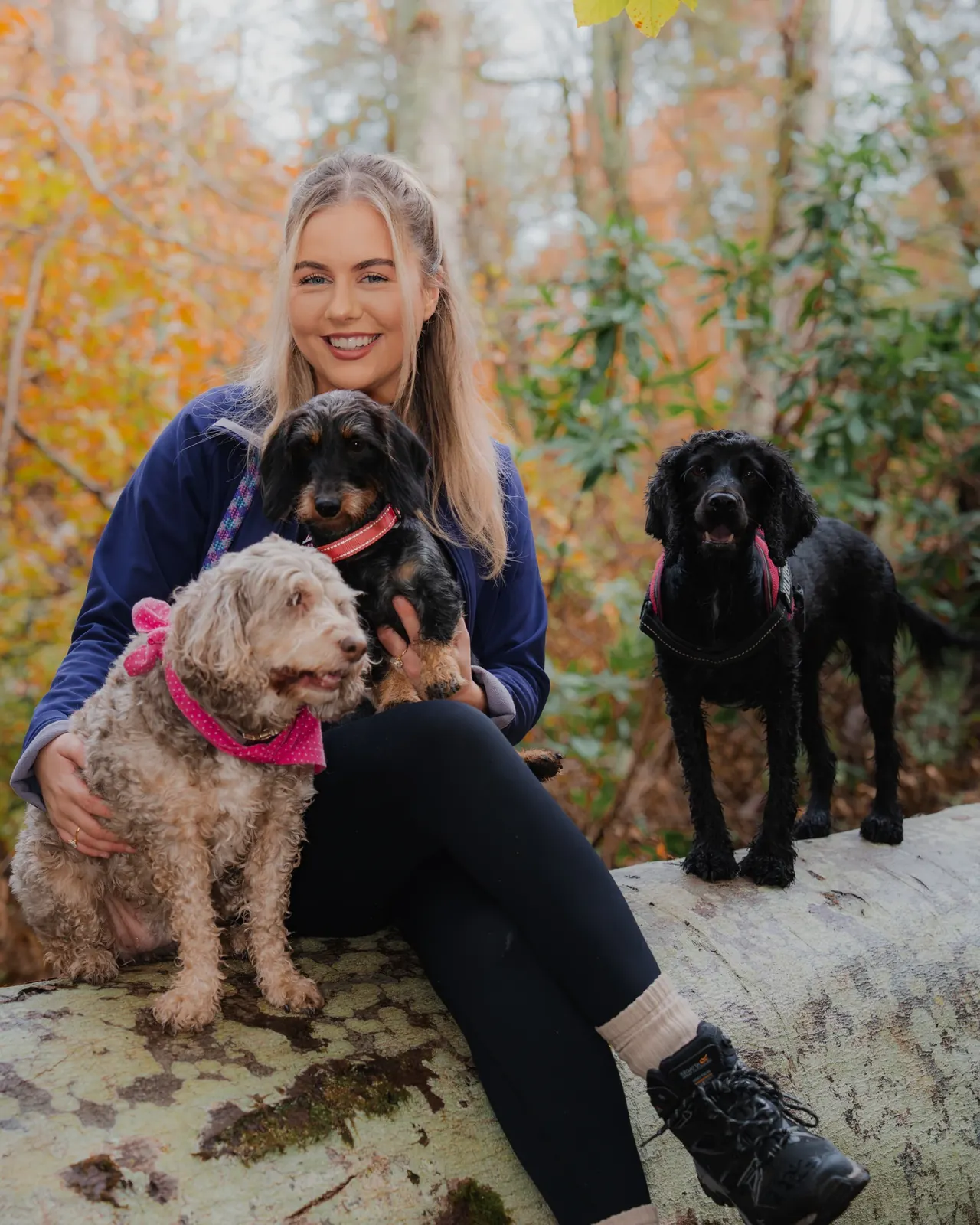 Carly with three dogs on a fallen birch in autumn woodland