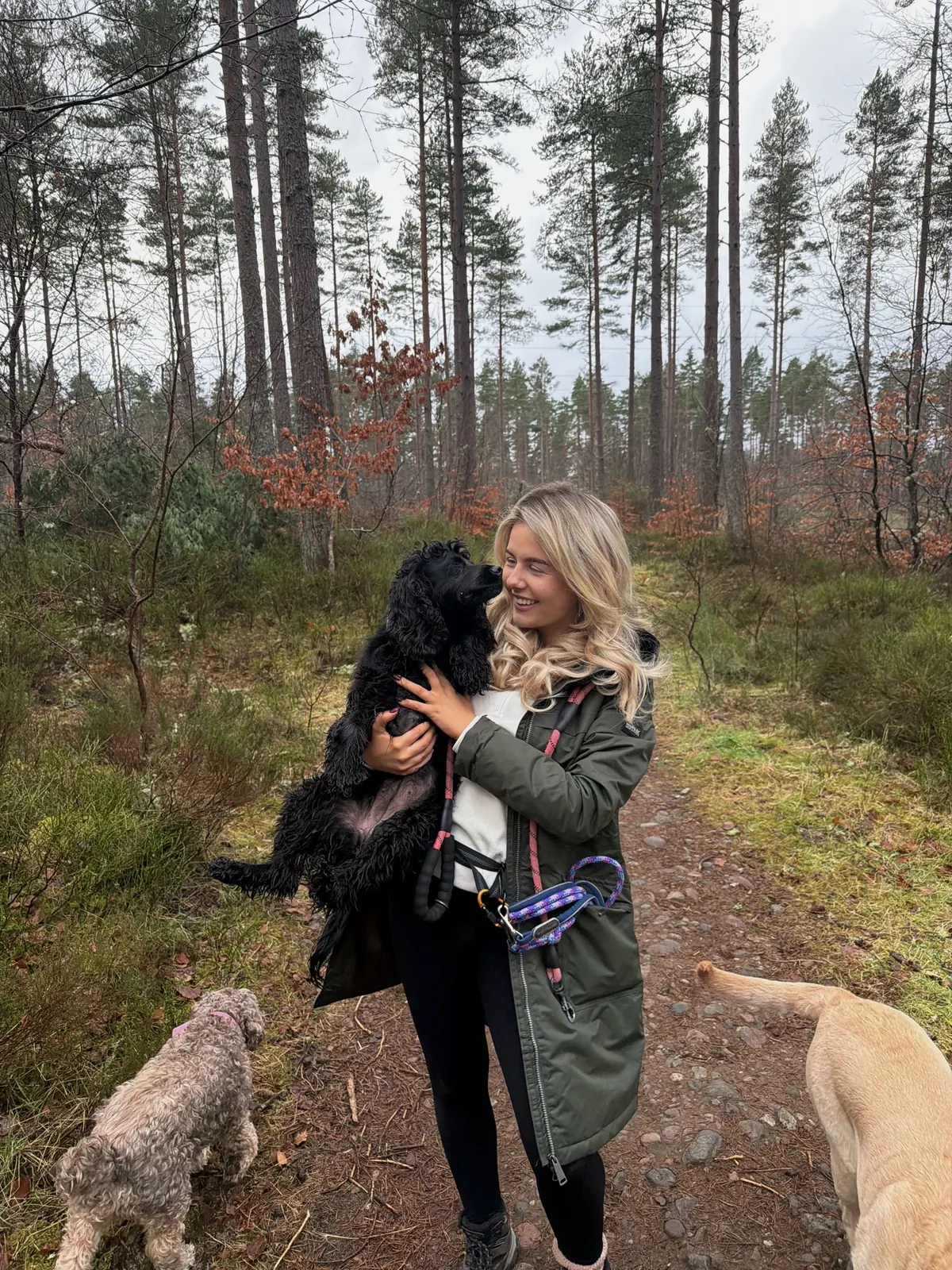 Carly walking with a group of dogs on a forest path