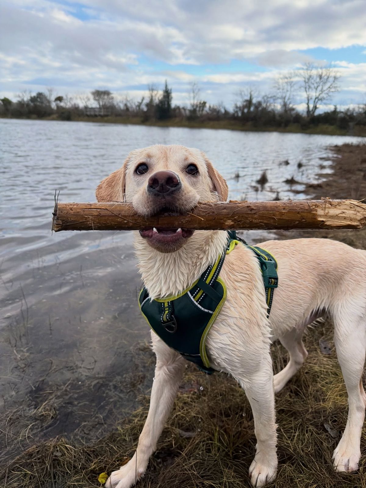 The perfect stick