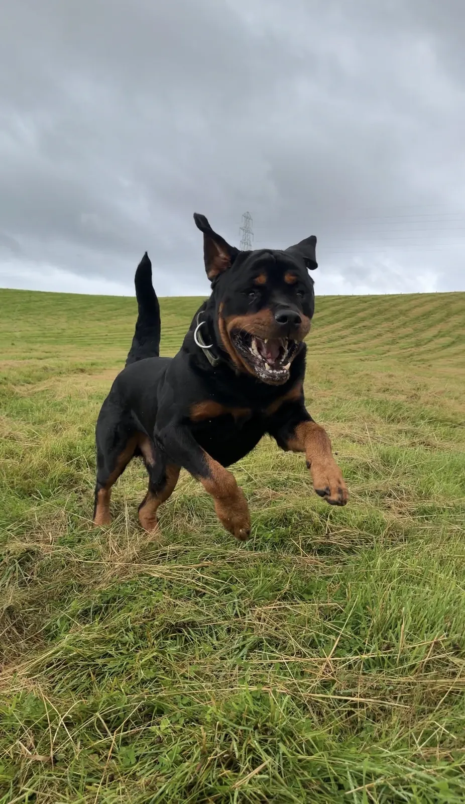 Incoming