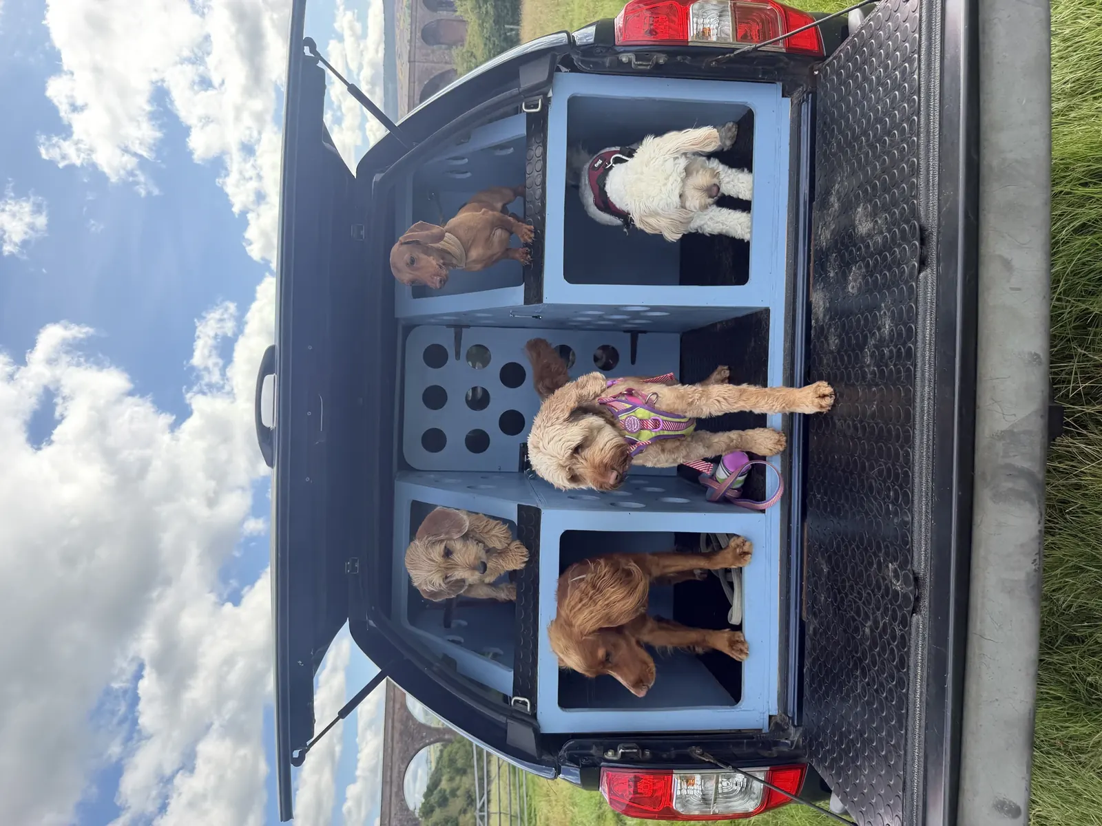 The crew, safely loaded at the Meadow